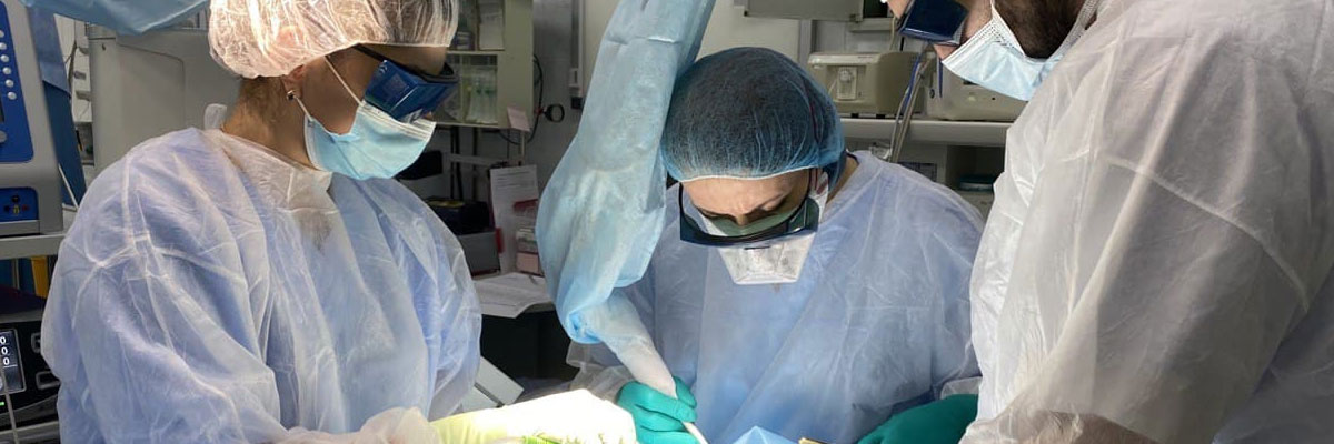 Endoscopic and Laser Surgeries