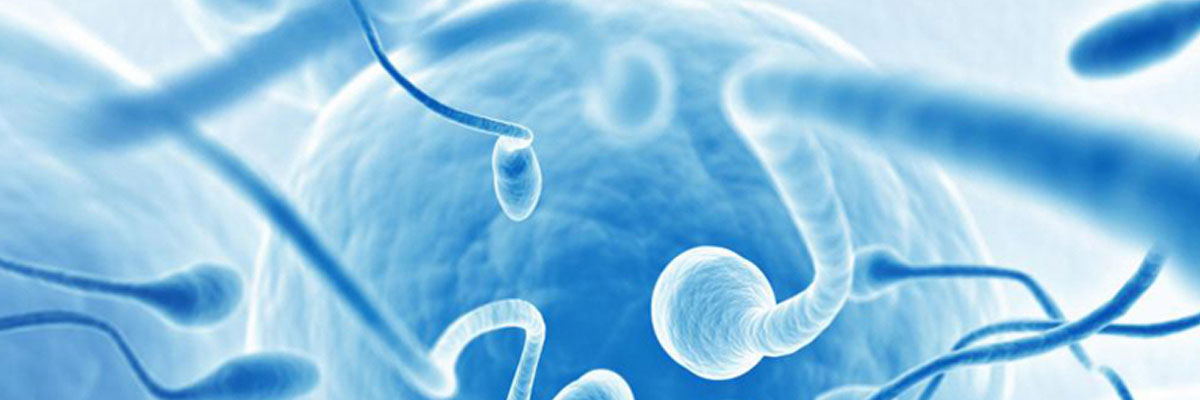 Andrology, Male Sexual Health and Male Infertility